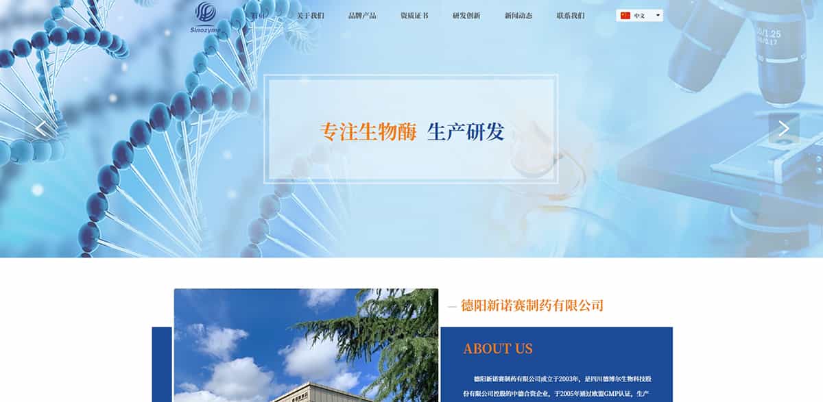 北京新诺赛制药有限公司